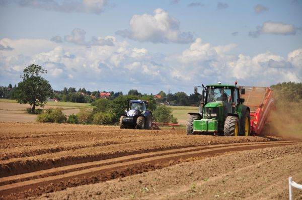 Romanian agriculture in a stalemate: too many farmers, too little performance